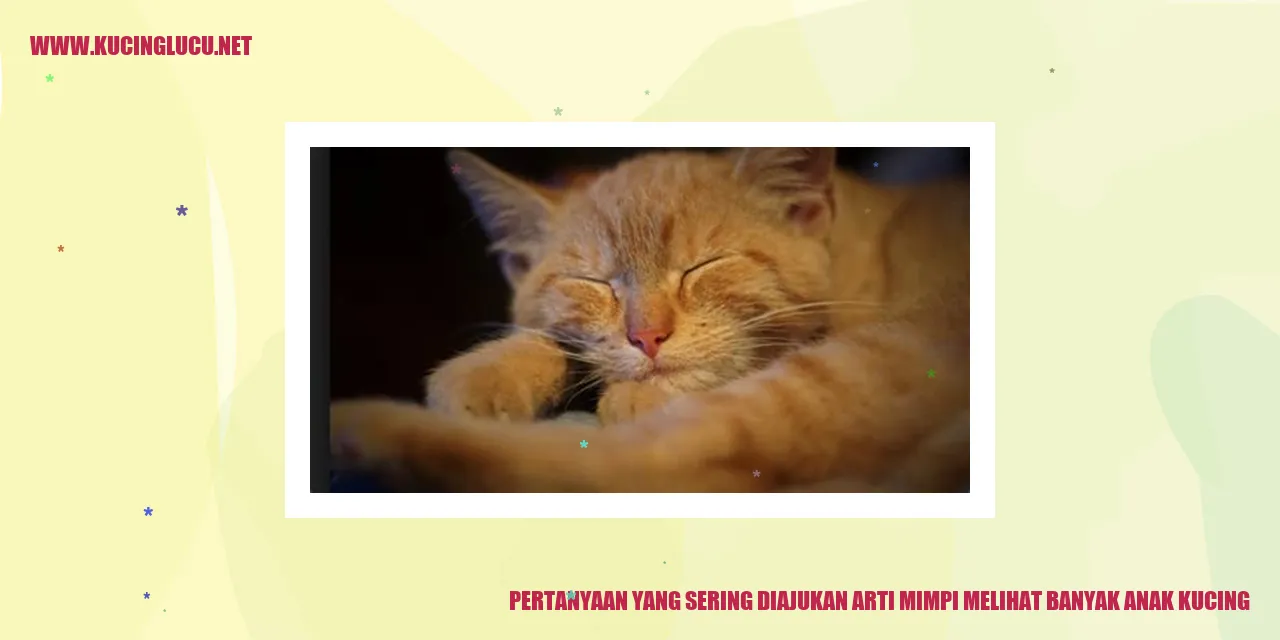Gambar Anak kucing