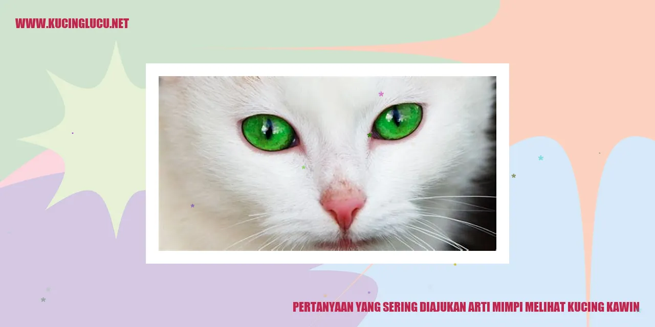 Gambar Kucing Kawin