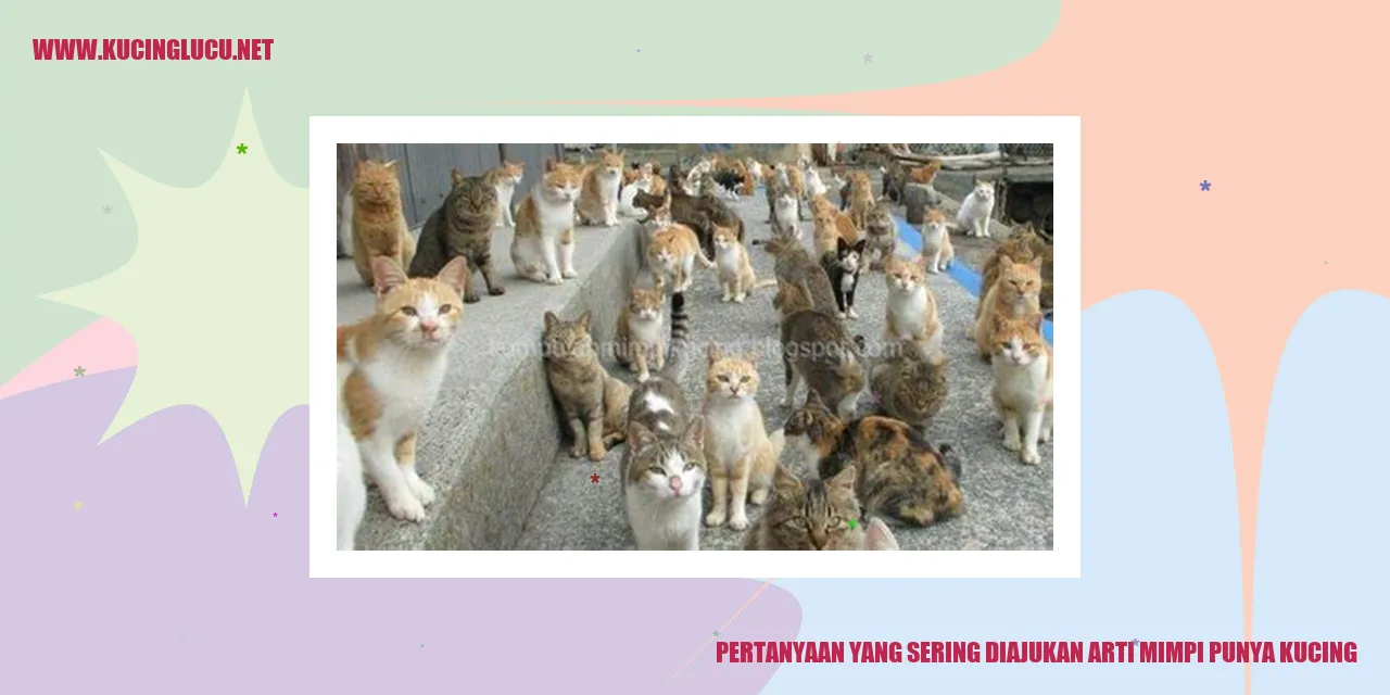 Gambar Kucing