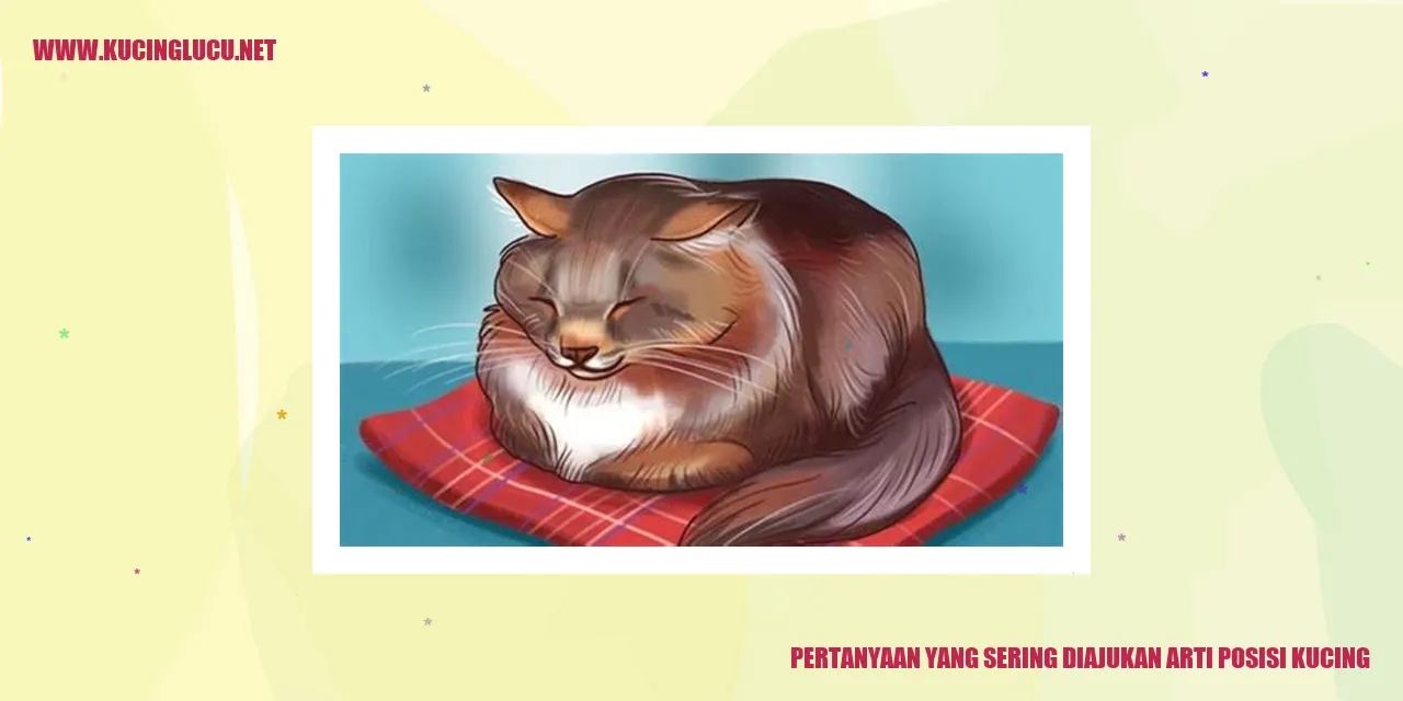 Gambar Kucing Mengangkat Kaki