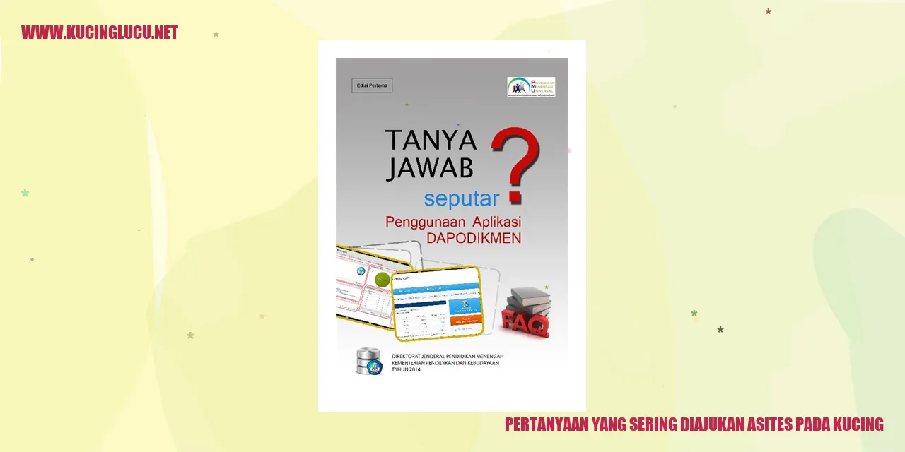 Gambar kucing yang mungkin mengalami asites