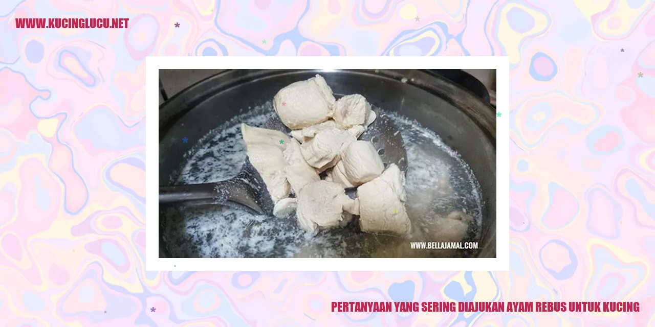 Ayam Rebus untuk Kucing