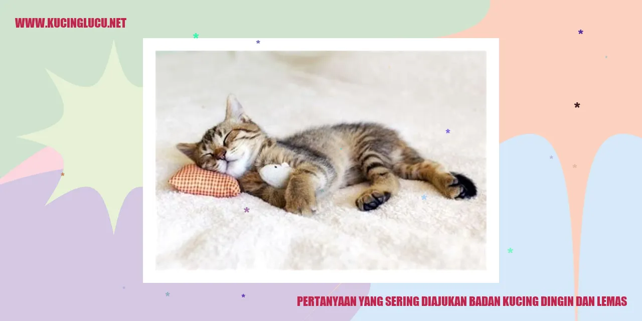 Kucing dingin dan lemas