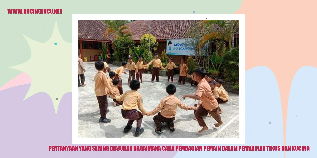 gambar tikus dan kucing