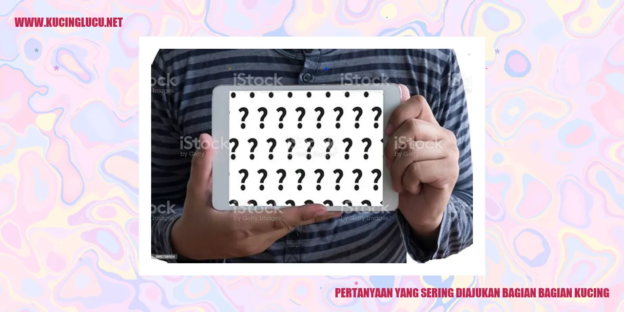 Gambar Kucing