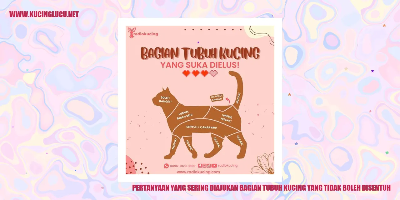 Ilustrasi Kucing dengan Bagian Tubuh yang Tidak Boleh Disentuh