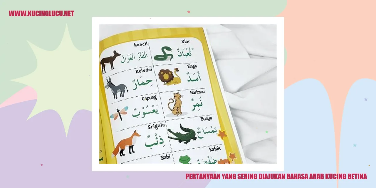 Gambar Kucing Betina