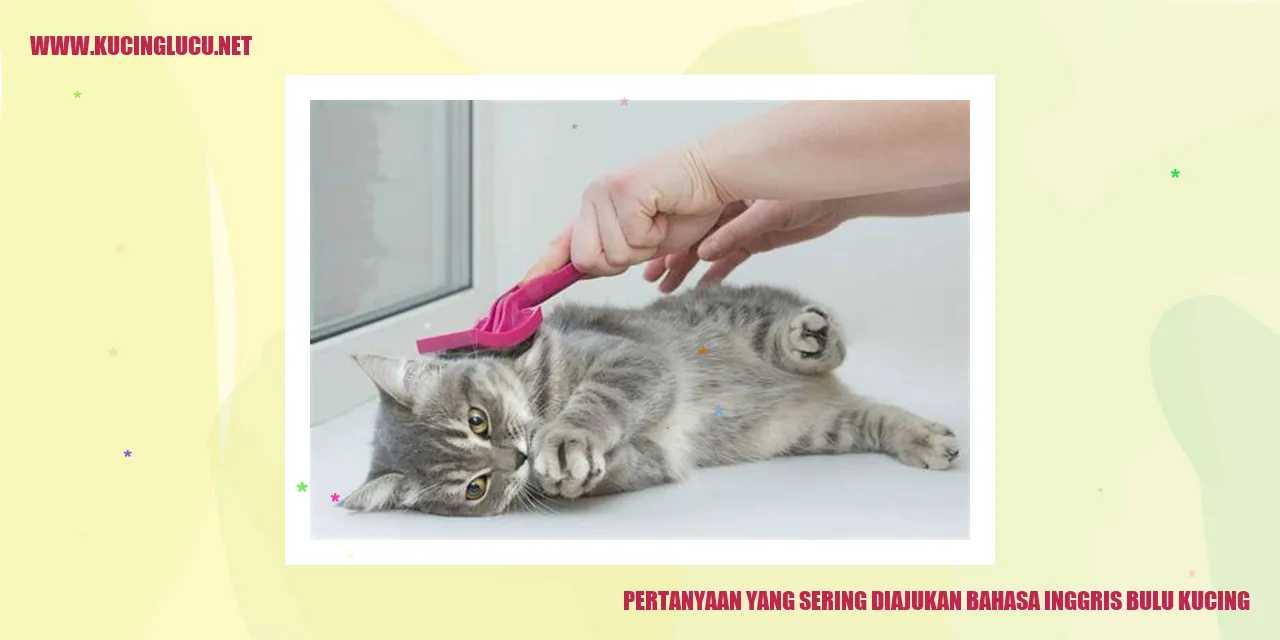 Pertanyaan yang Sering Diajukan mengenai Bulu Kucing