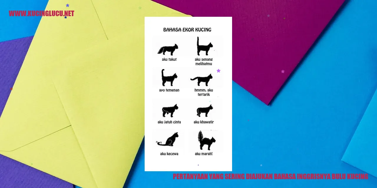 Gambar Bulu Kucing