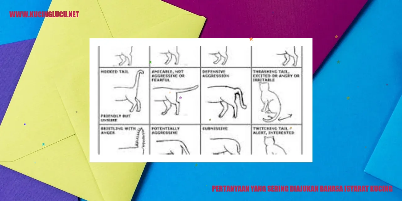 Gambar Bahasa Isyarat Kucing