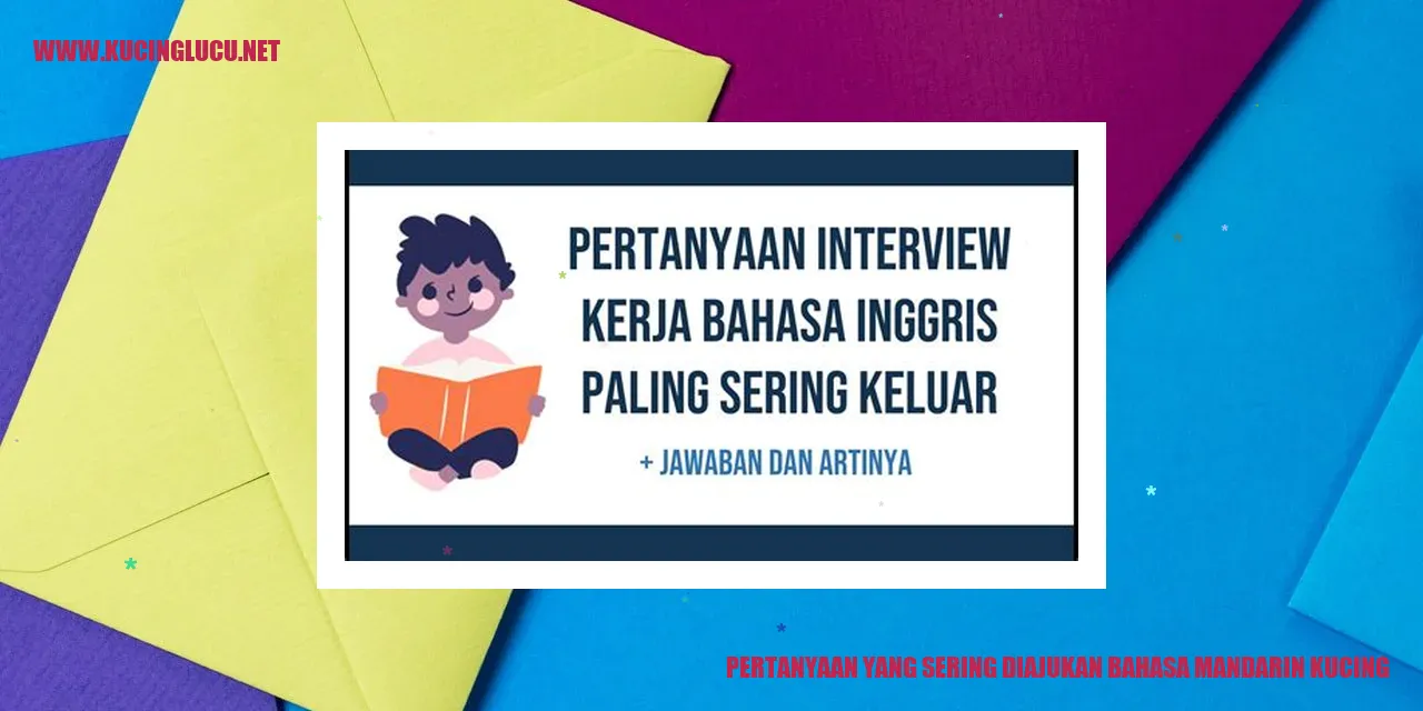 Kucing
