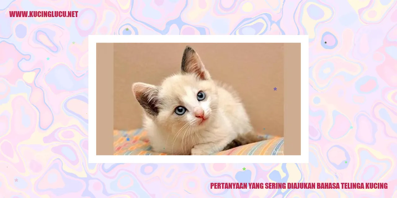 Gambar Telinga Kucing