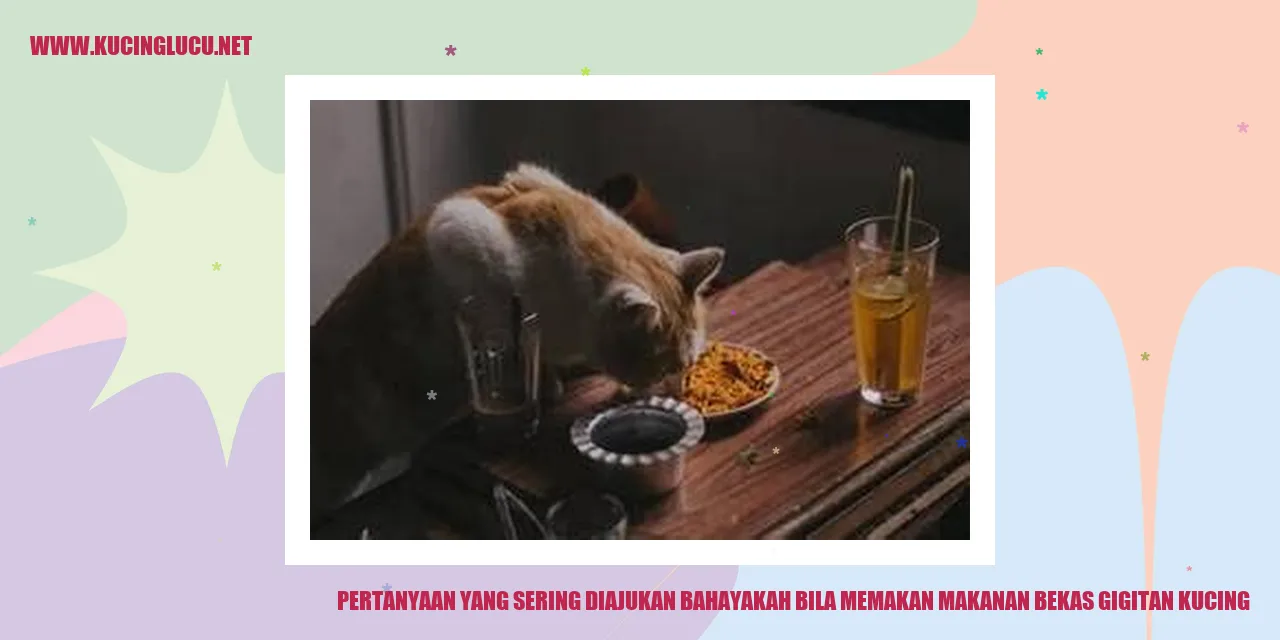 Gambar kucing