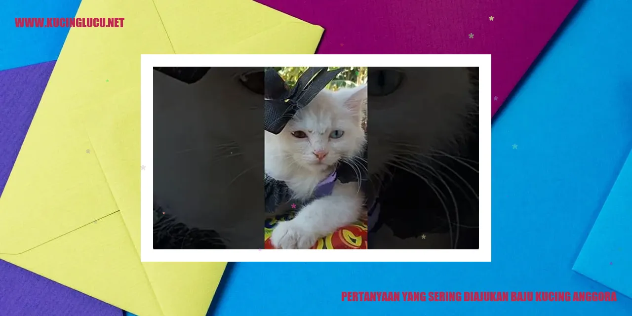Pakaian Kucing Anggora