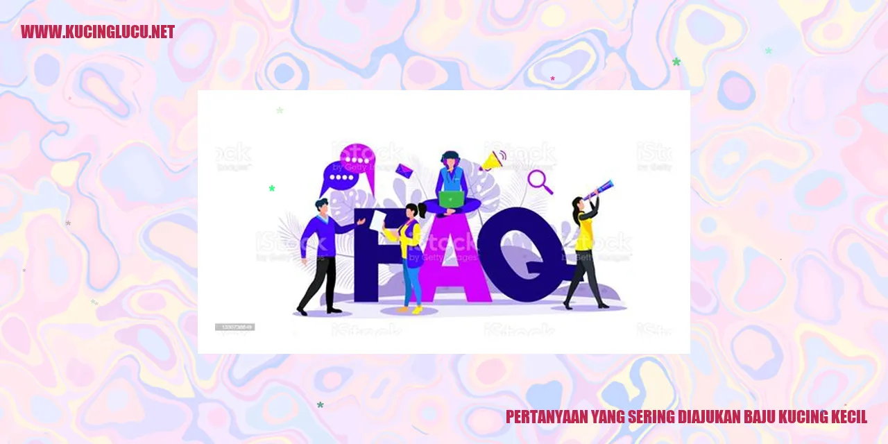 Baju Kucing Kecil