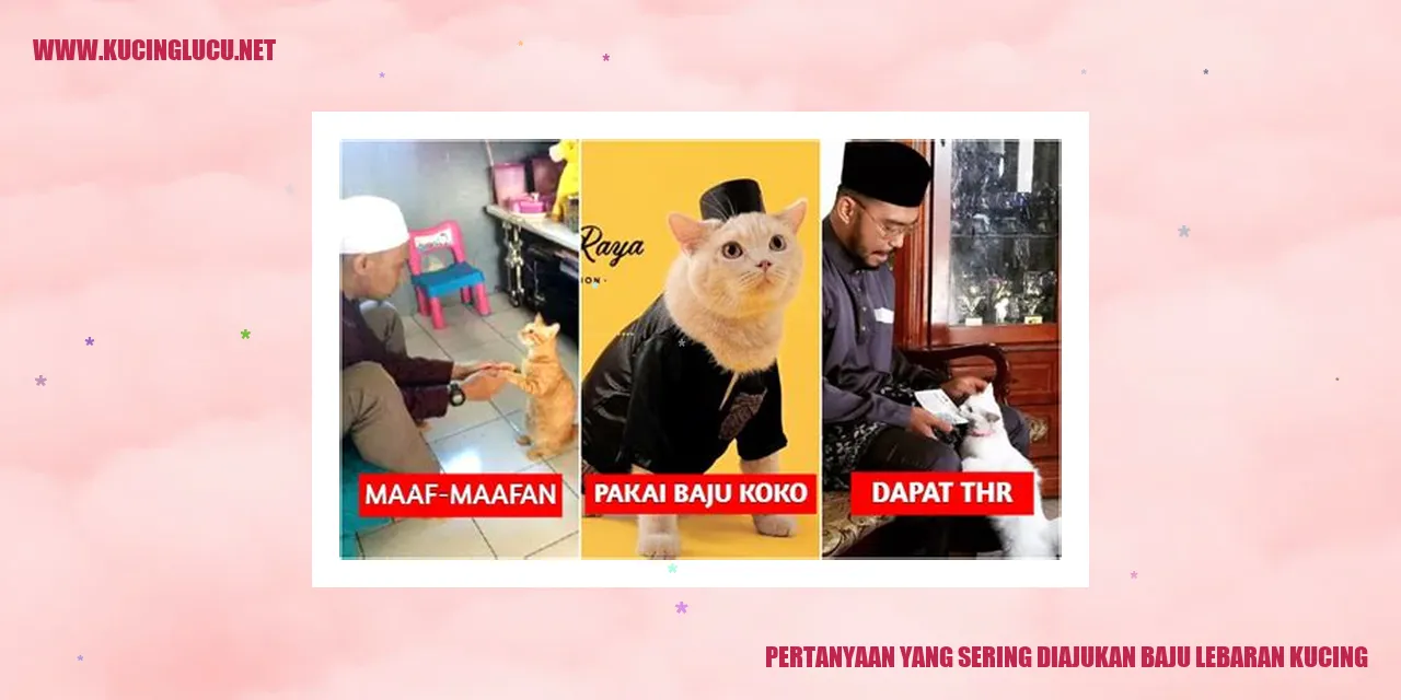 Pertanyaan yang Sering Diajukan mengenai Pakaian Lebaran untuk Kucing