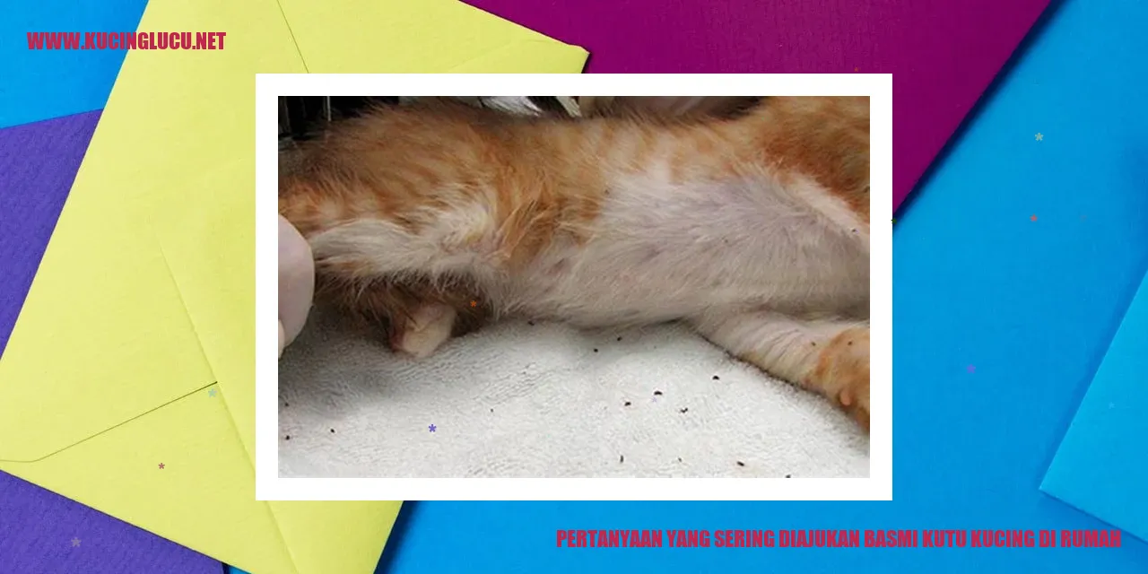 Pertanyaan yang Sering Diajukan basmi kutu kucing di rumah