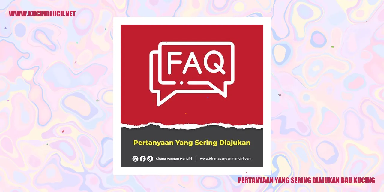 Gambar Kucing