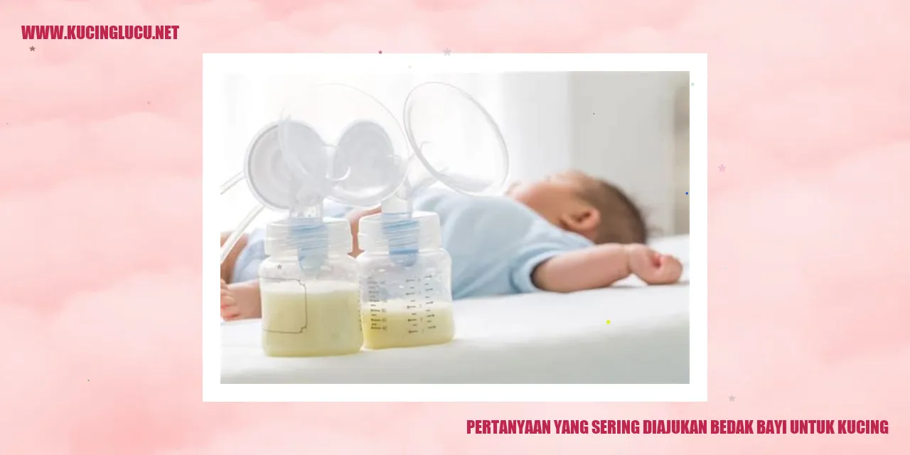 Bedak Bayi untuk Kucing