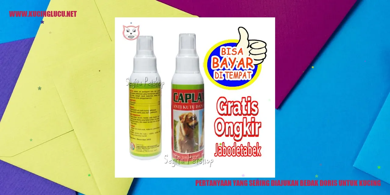 Gambar Kucing