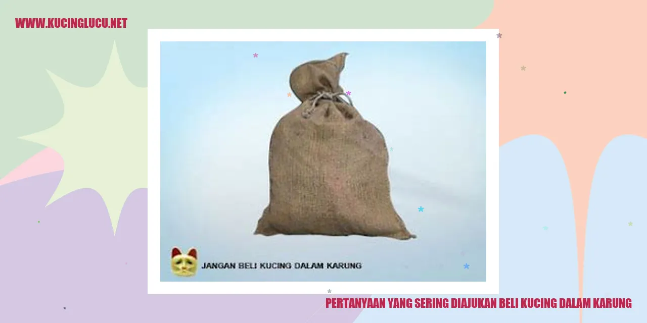 Kucing dalam karung