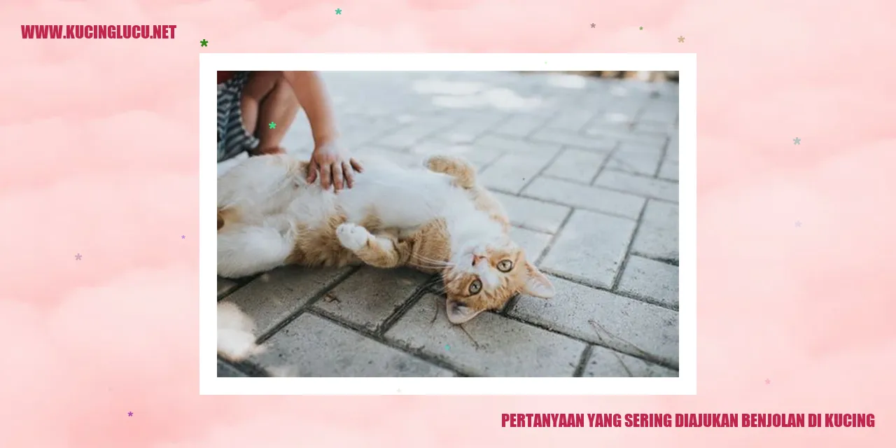 Benjolan pada Kucing