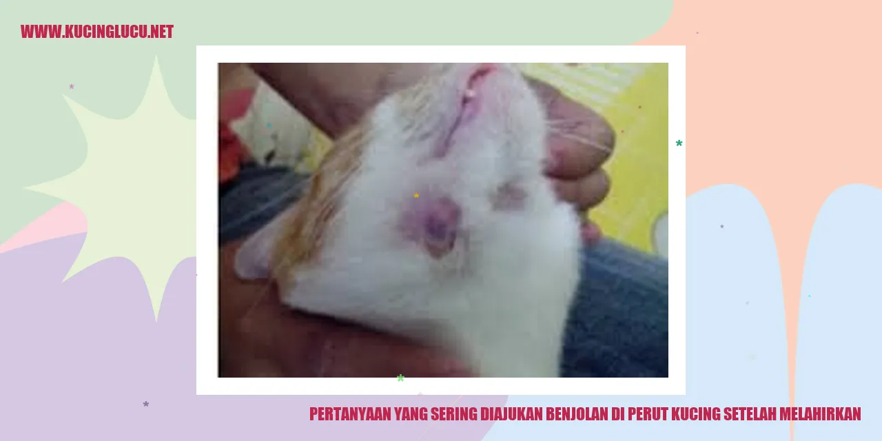 Ilustrasi Kucing Melahirkan