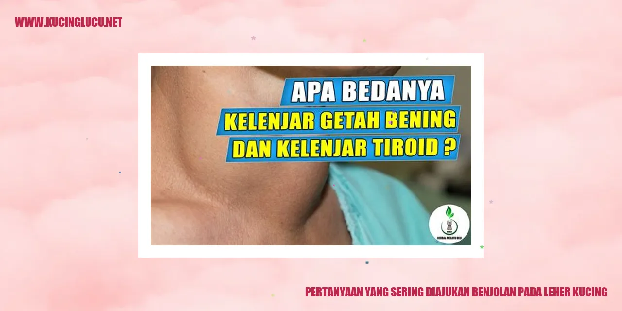 Benjolan pada Leher Kucing