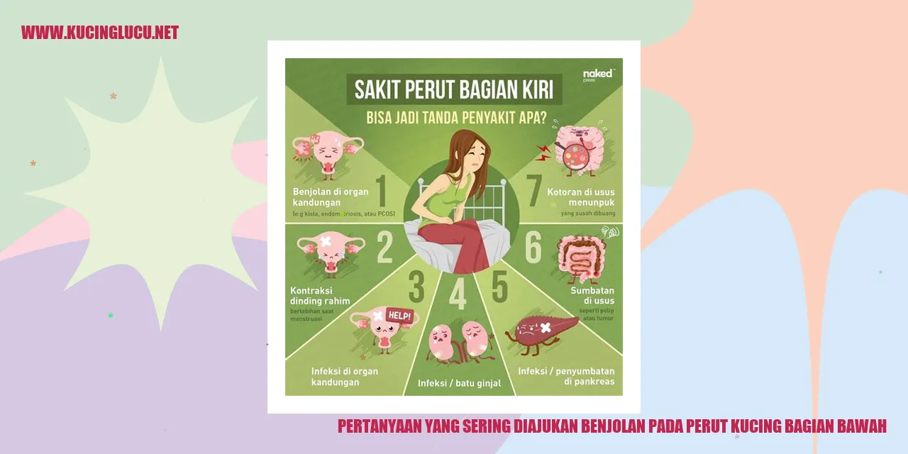 Gambar benjolan pada perut kucing