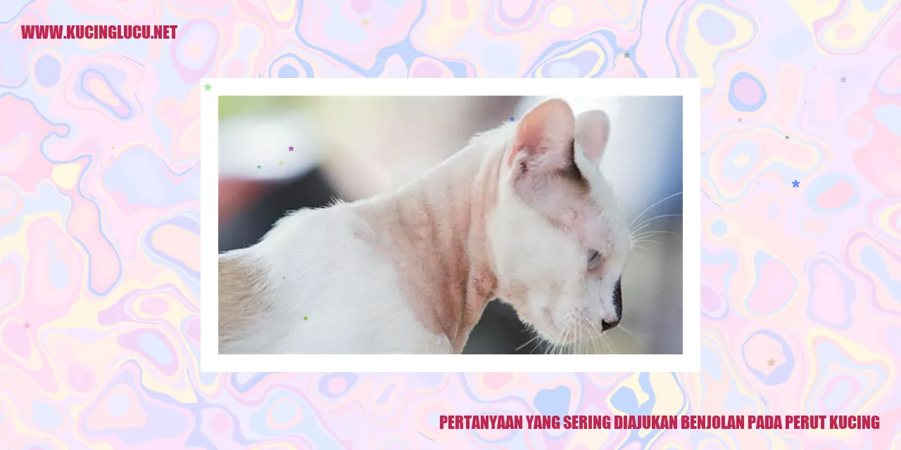 Benjolan pada Perut Kucing
