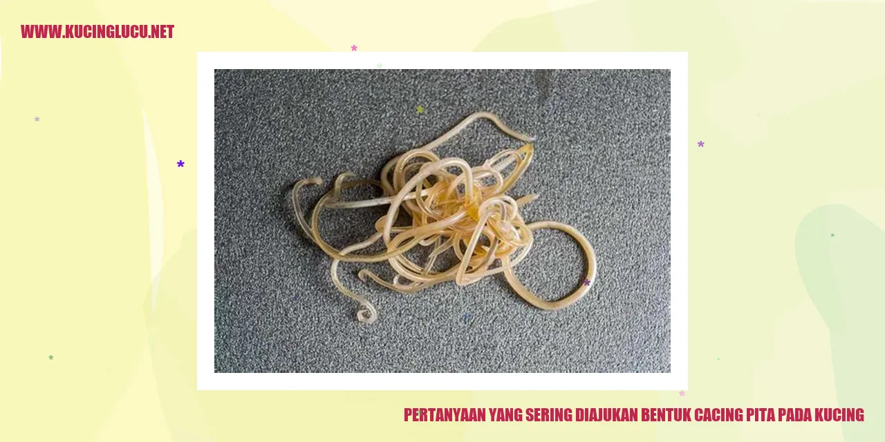 Pertanyaan yang Sering Diajukan bentuk cacing pita pada kucing