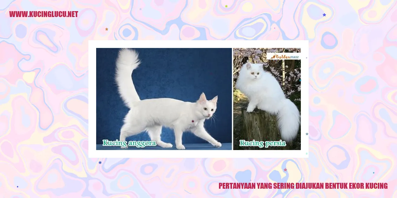 Bentuk Ekor Kucing