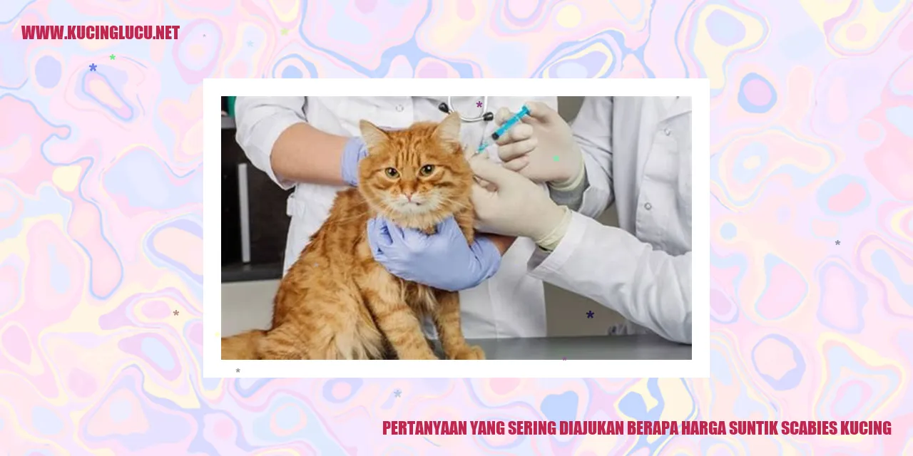 Pertanyaan yang Sering Diajukan: Berapa Harga Suntik Scabies Kucing