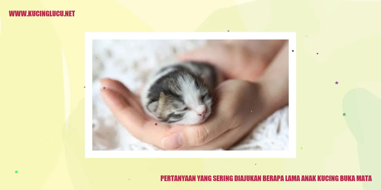 Anak Kucing Buka Mata