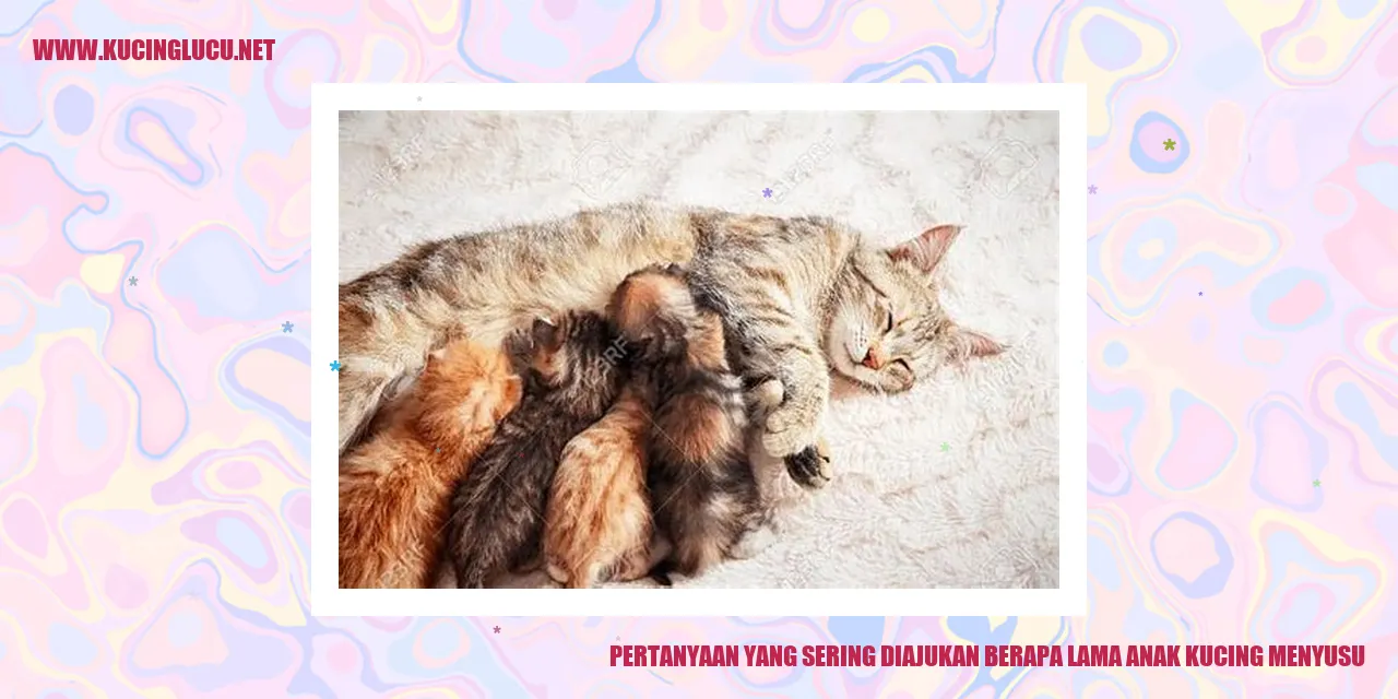 Gambar Anak Kucing Menyusu