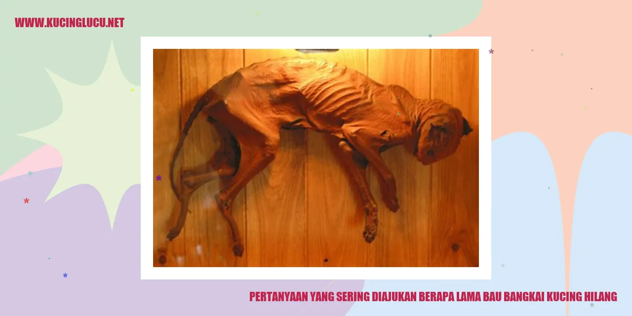 Aroma Busuk dari Mayat Kucing