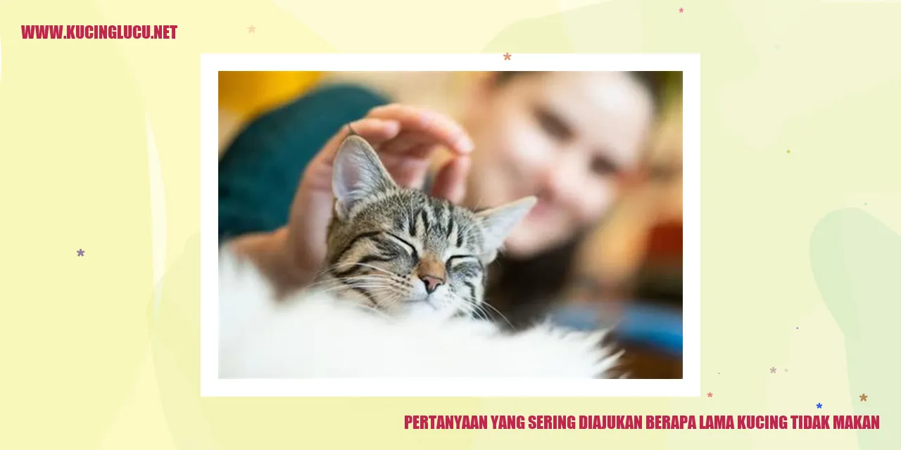 Pertanyaan yang Sering Diajukan berapa lama kucing tidak makan