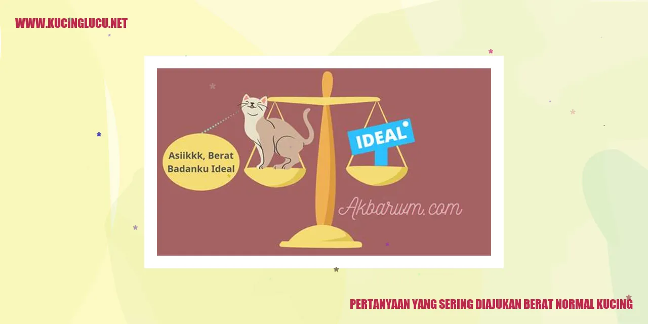 Gambar kucing