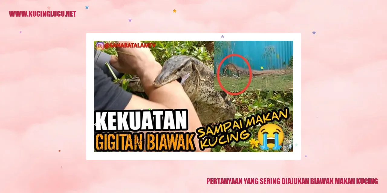 Ilustrasi mengenai pertanyaan yang sering diajukan secara visual