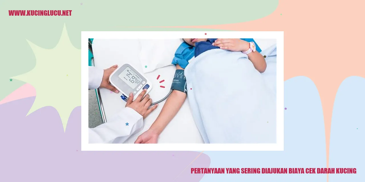 Pertanyaan yang Sering Diajukan tentang Biaya Cek Darah Kucing