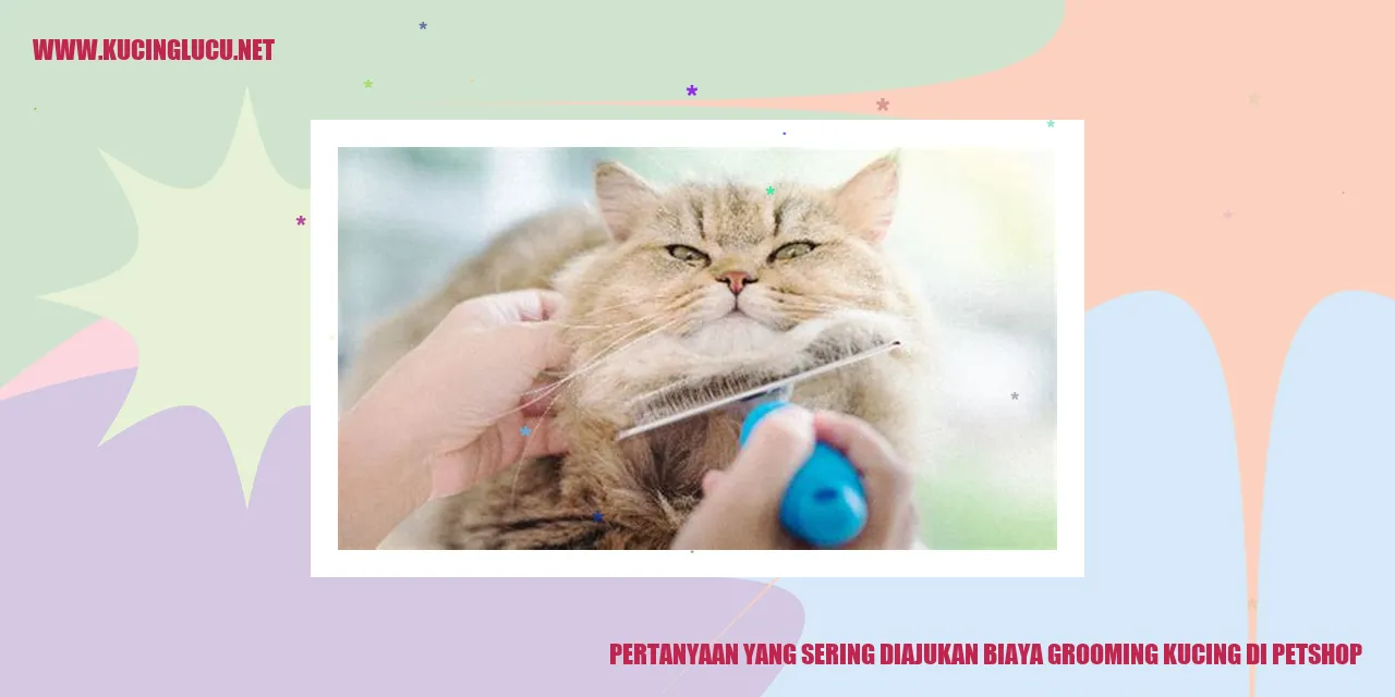 Pertanyaan yang Sering Diajukan biaya grooming kucing di petshop
