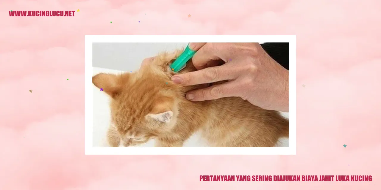 Pertanyaan yang Sering Diajukan biaya jahit luka kucing