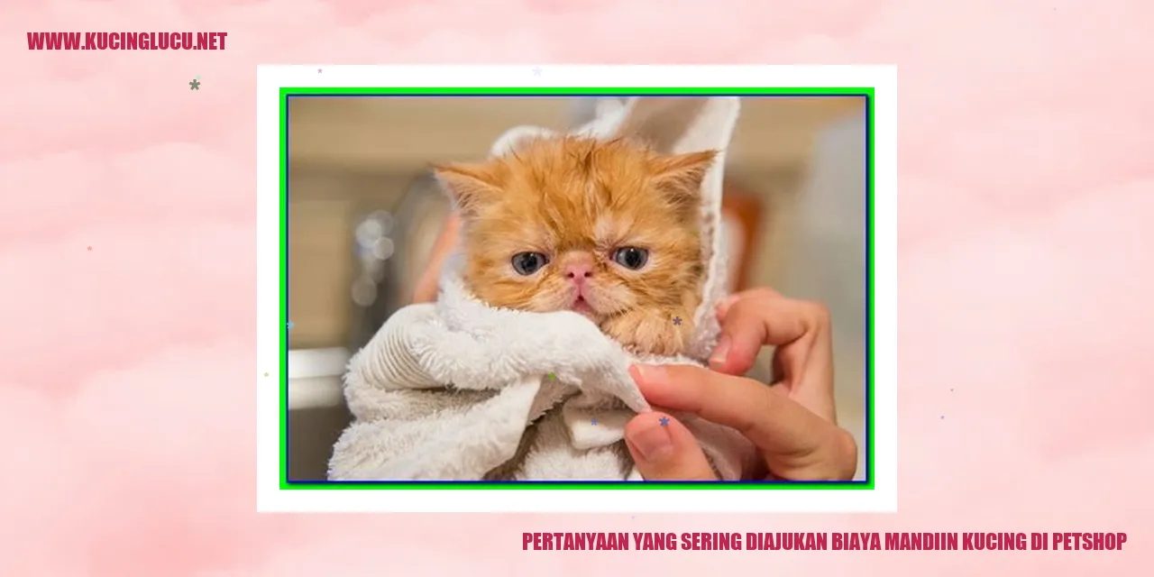 Kucing mandi di lapak hewan peliharaan