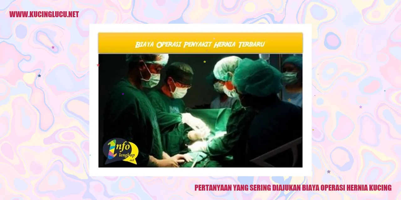 Gambar kucing yang membutuhkan operasi hernia