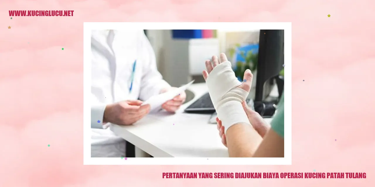 Operasi Kucing Patah Tulang
