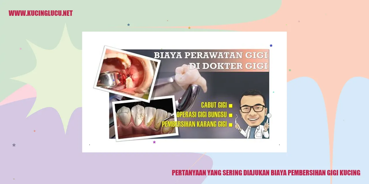 Pertanyaan yang Sering Diajukan biaya pembersihan gigi kucing