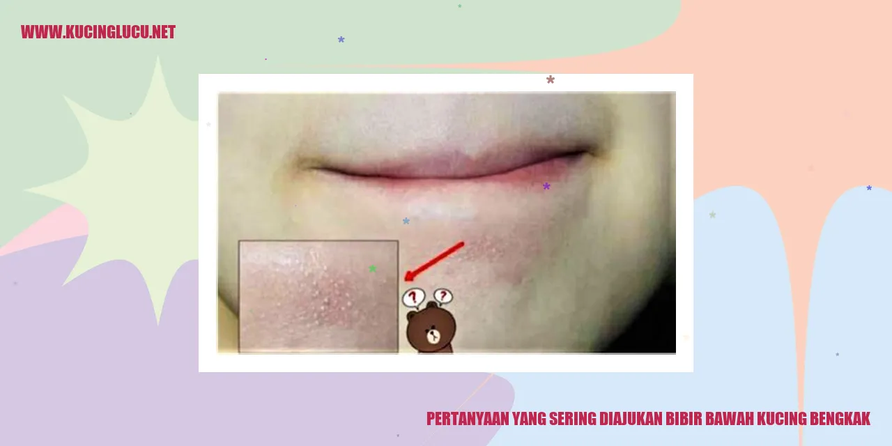 Ilustrasi Kucing dengan Bibir Bawah Bengkak