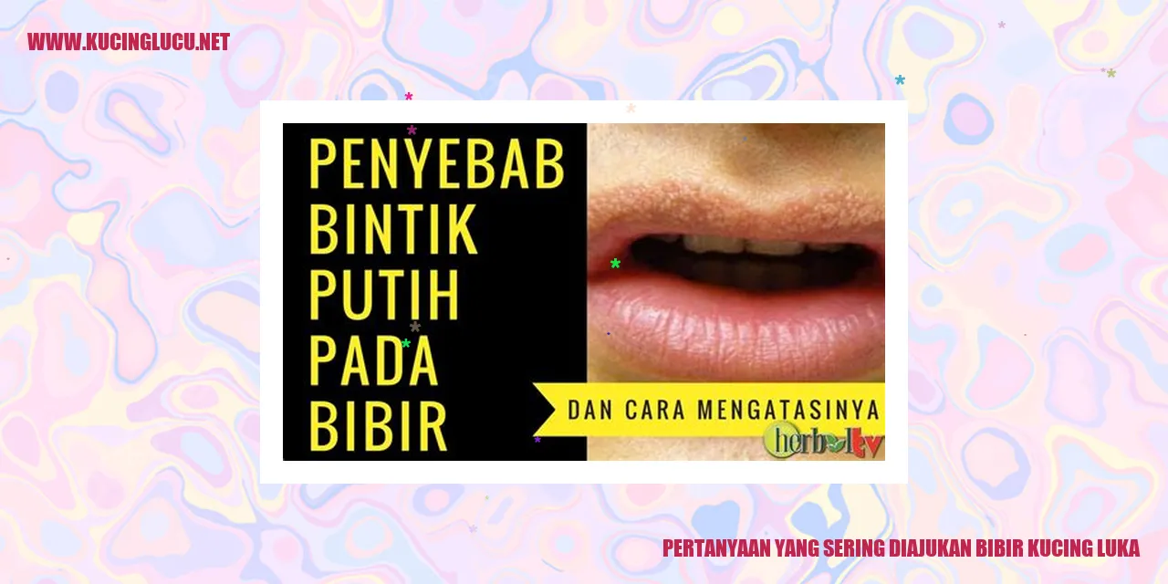 ilustrasi pertanyaan mengenai kucing yang memiliki luka pada bibir