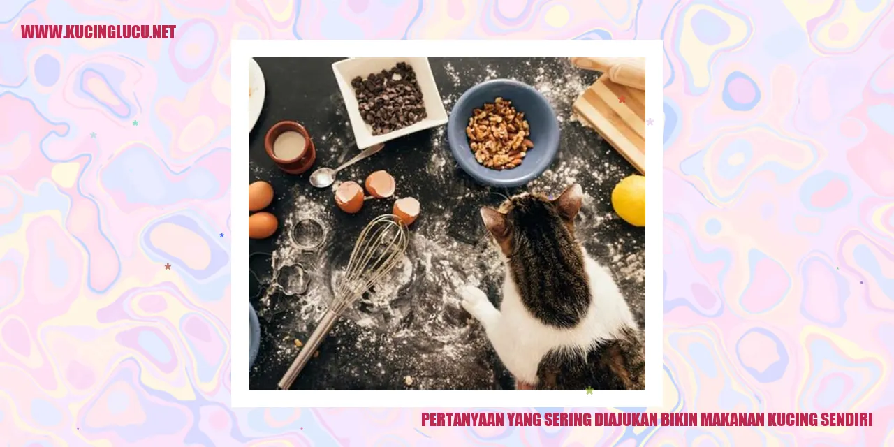 Pertanyaan yang Sering Diajukan tentang Membuat Makanan Kucing Sendiri