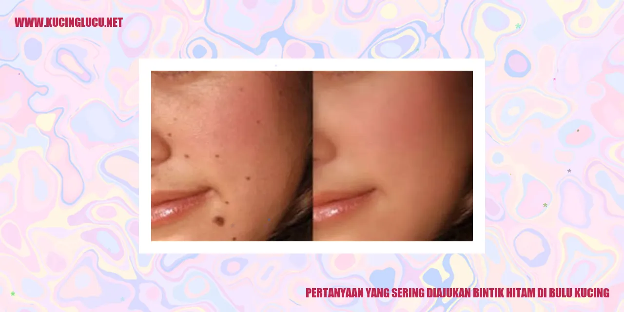 Bintik hitam di bulu kucing